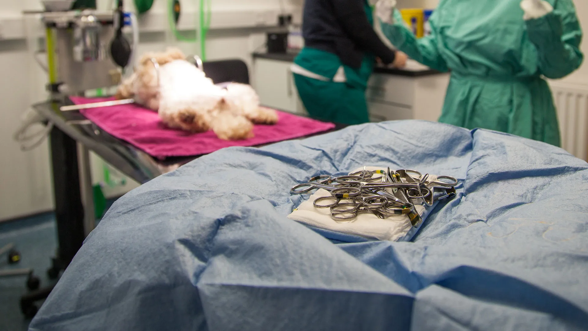 our operating theatre