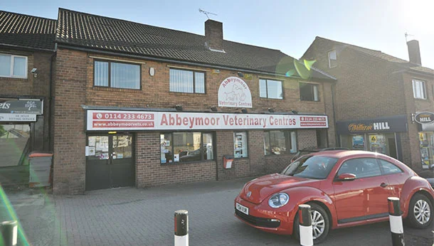 Abbeymoor Vets Halifax Road