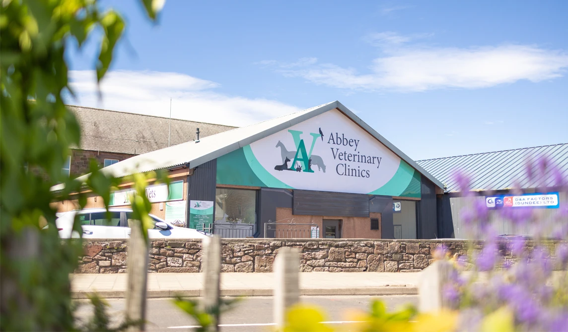 Abbey Vet Arbroath practice sign