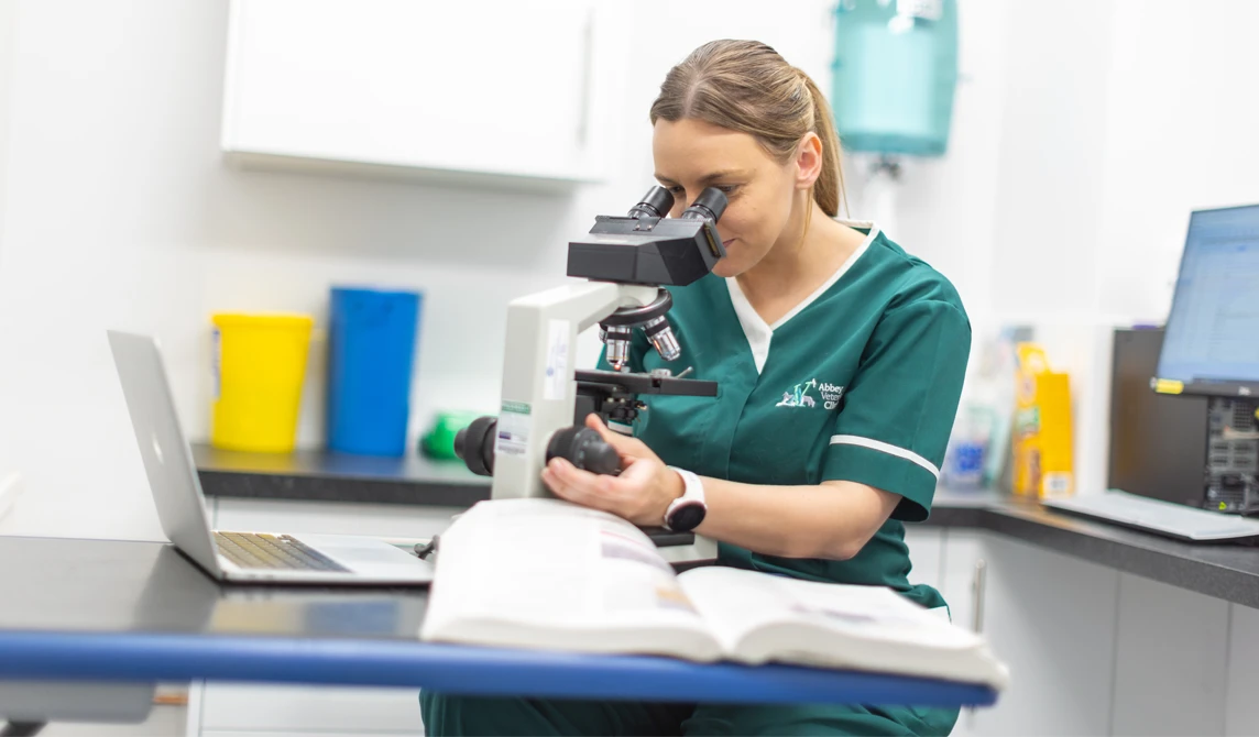 vet nurse looking in microscope