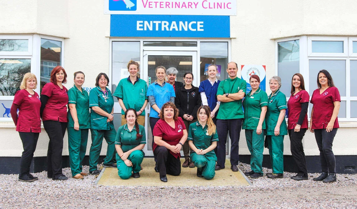 Albert Cottage Vets staff