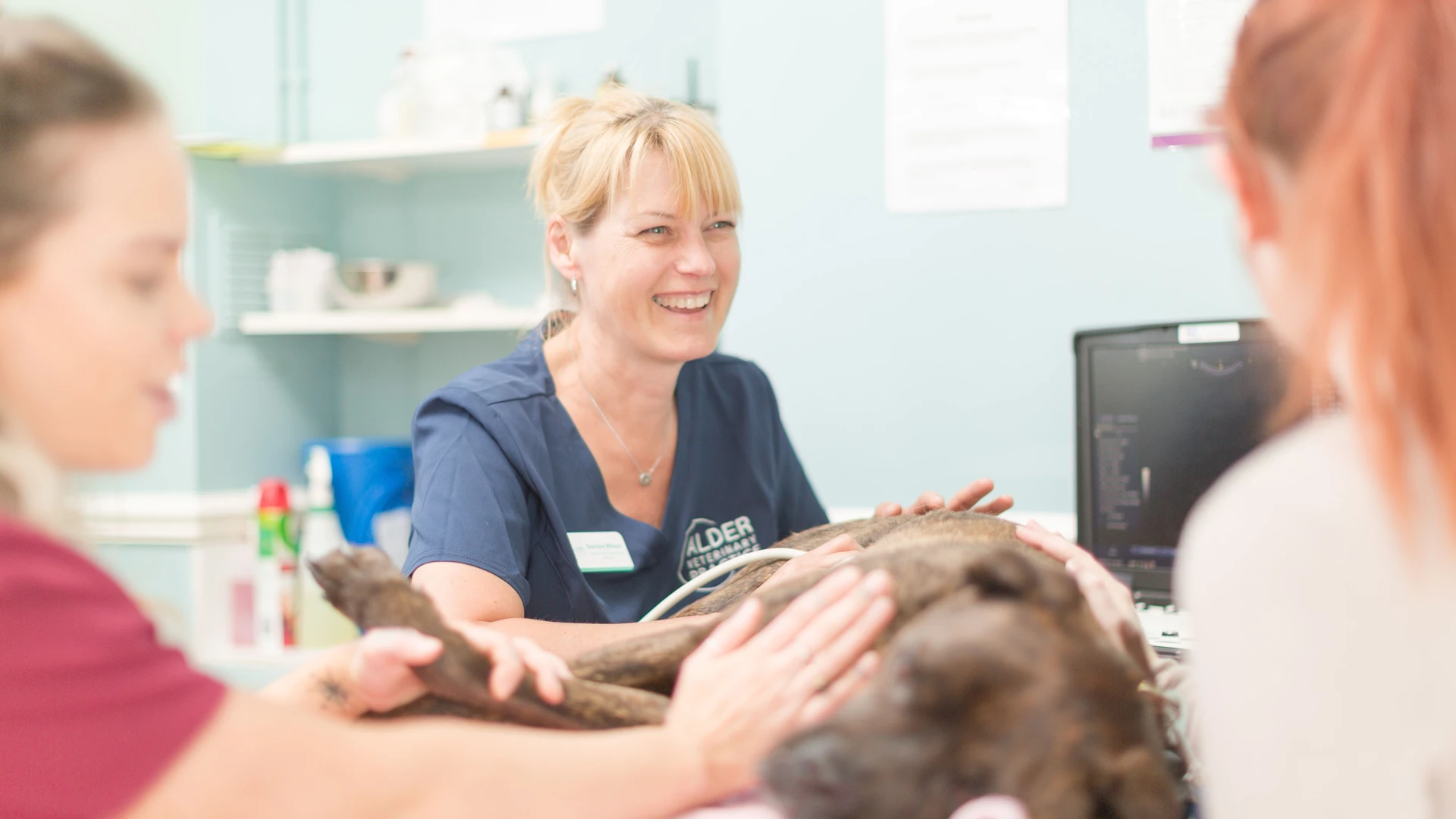 vet smiling in dog consultation