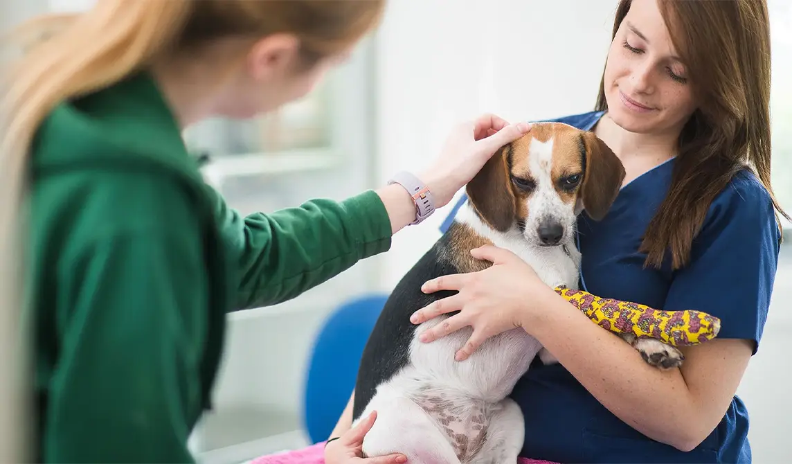 Owner and nurse with dog