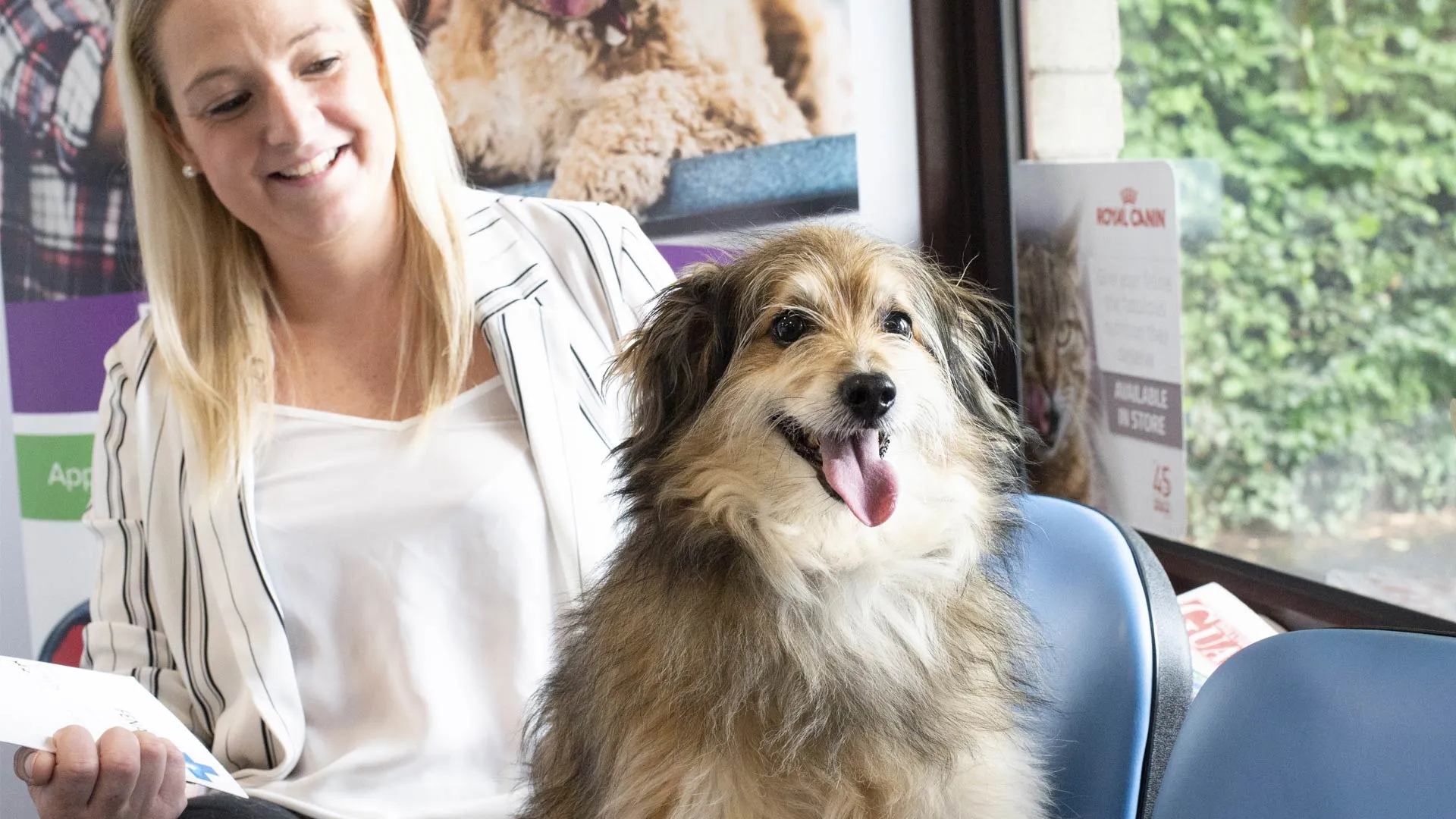 dog in waiting room with owner