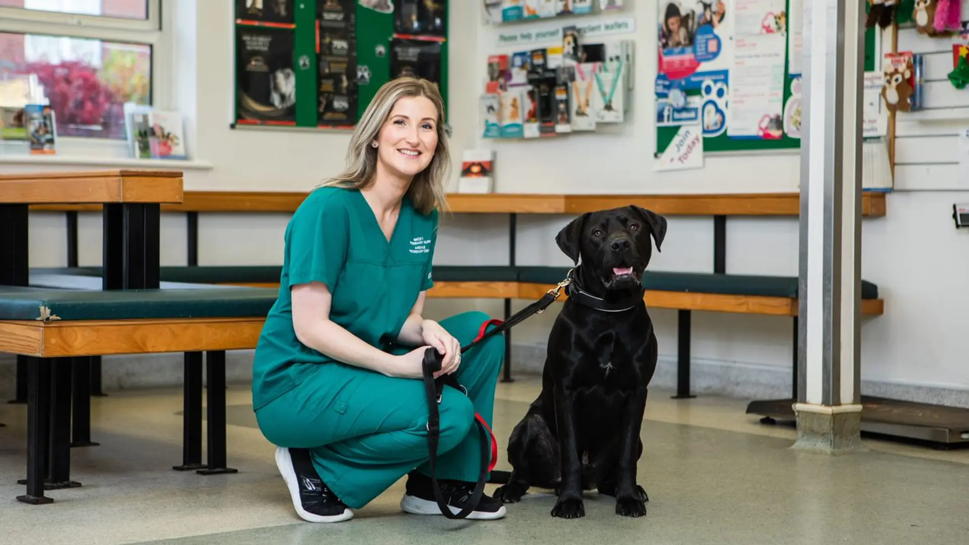 black Labrador in reception with a member of our team 