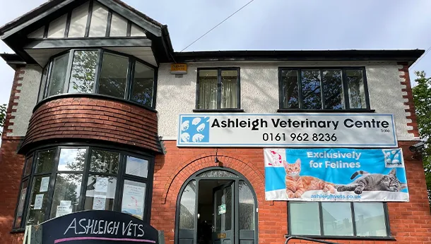 Ashleigh Vets in Sale, cat only clinic