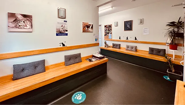 cat only clinic reception