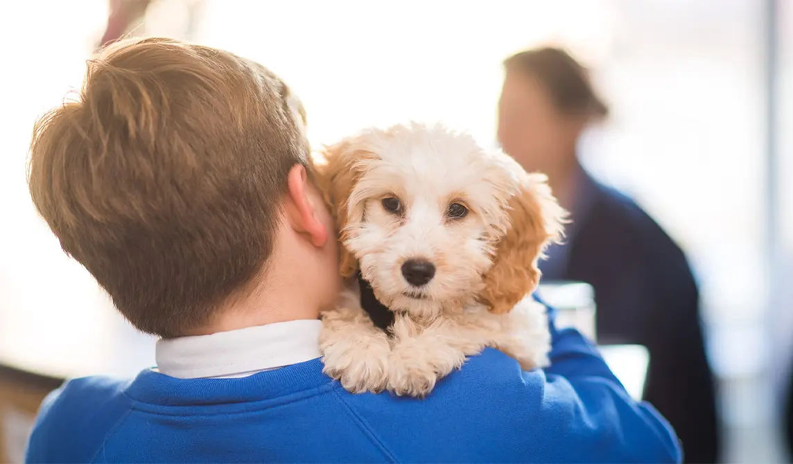 puppy being cuddled by child