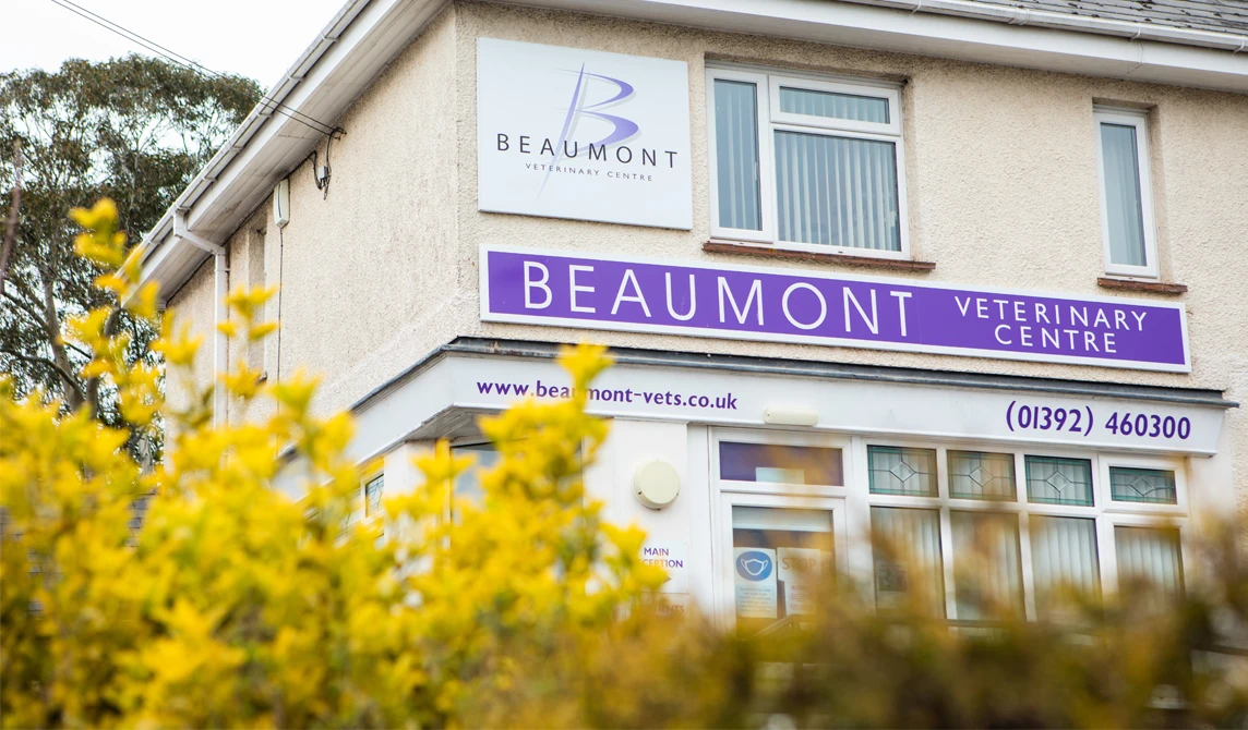 veterinary surgery front exterior