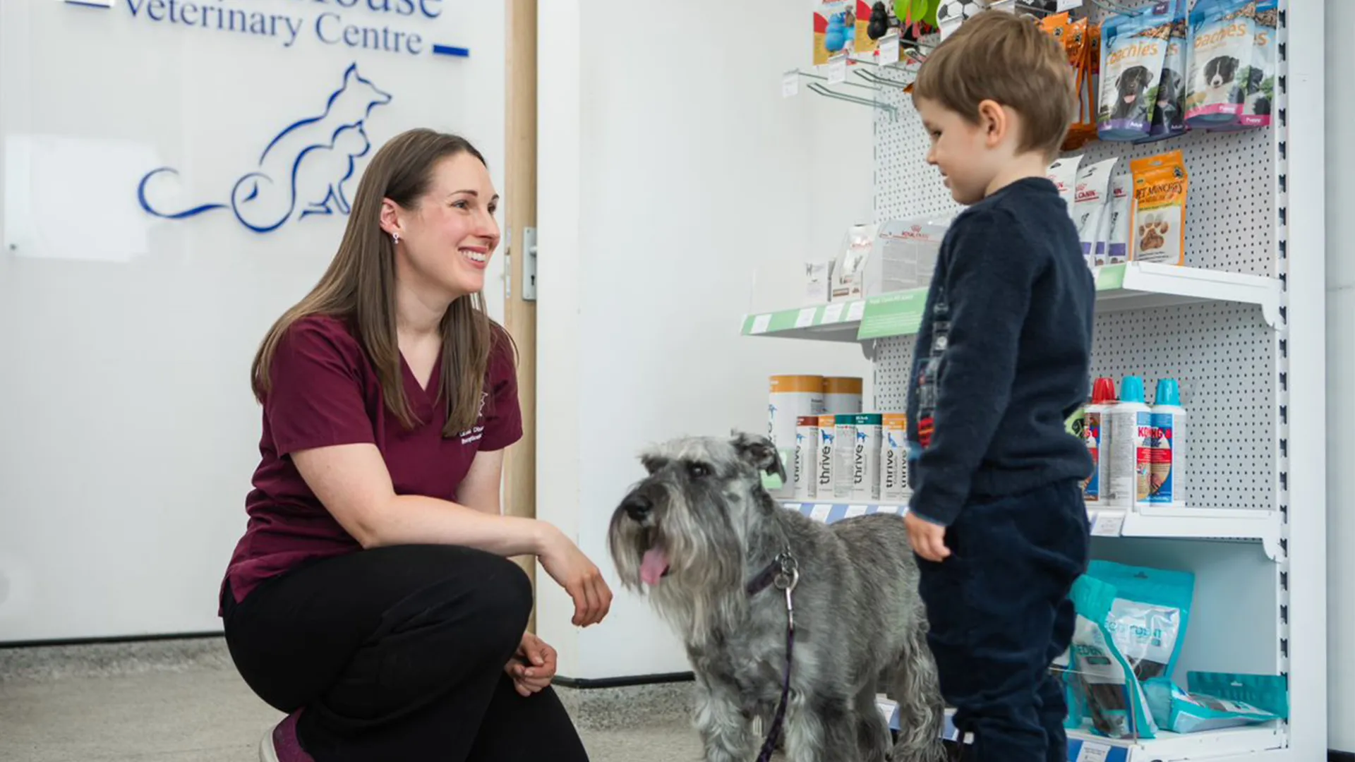 member of the team speaking to child and grey dog