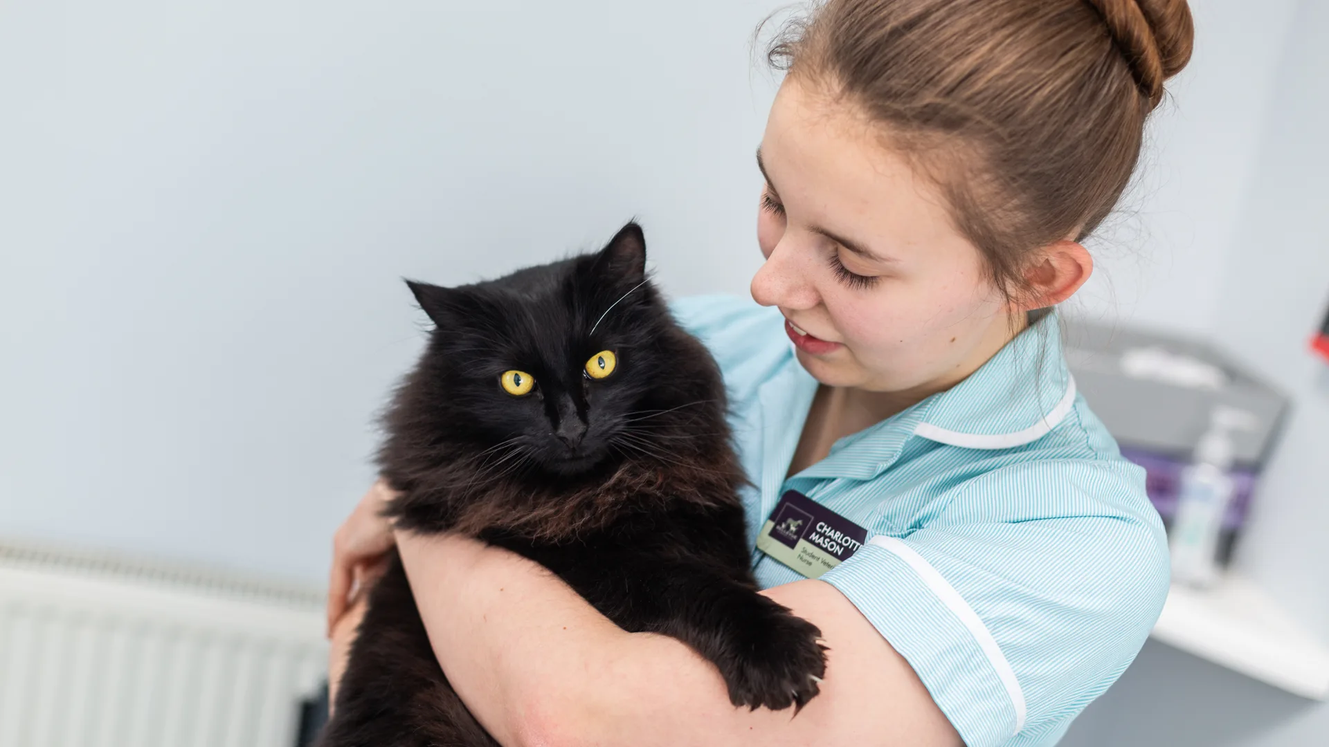 black cat at the vet