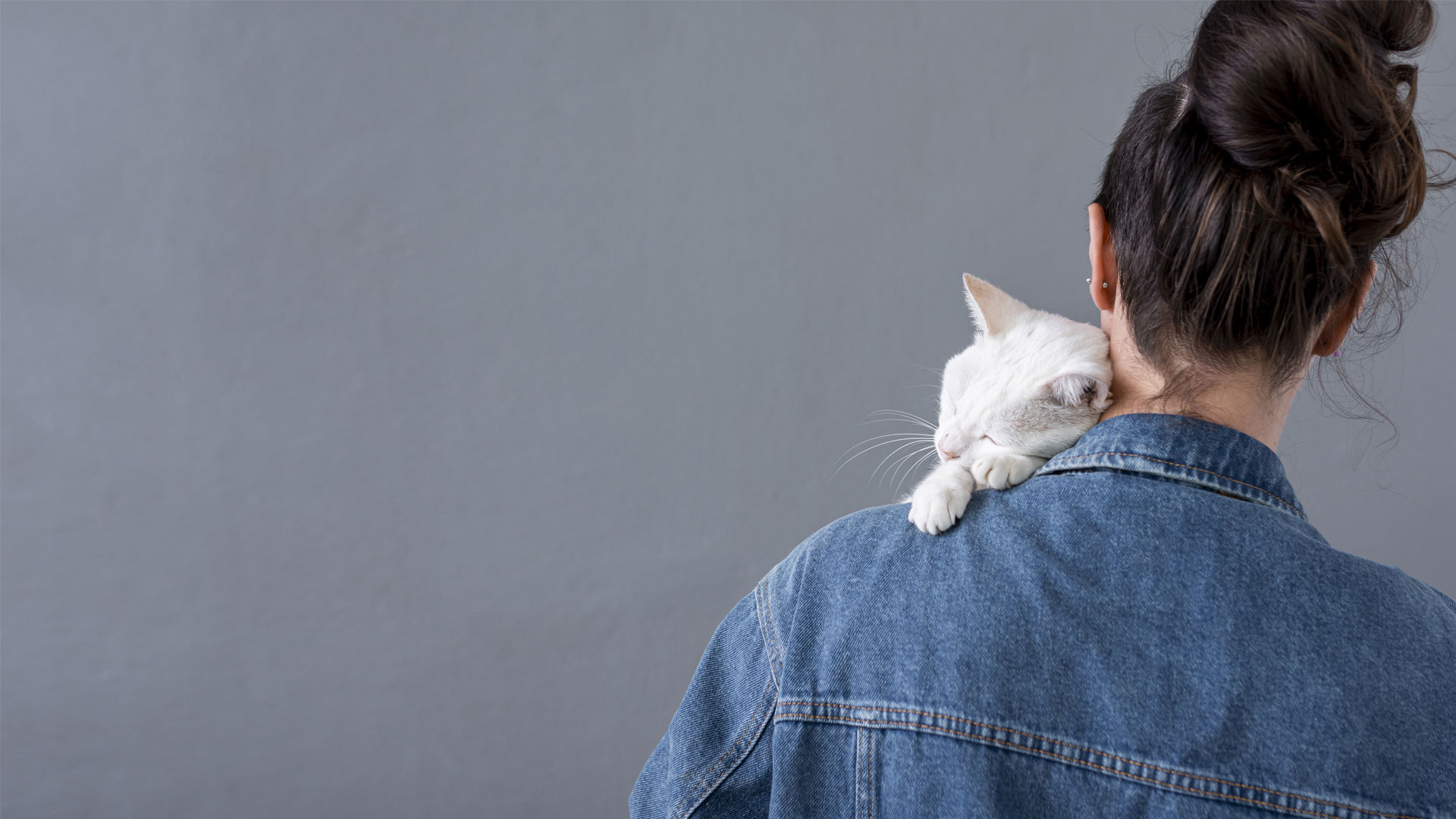 white cat sleeping on women's shoulder