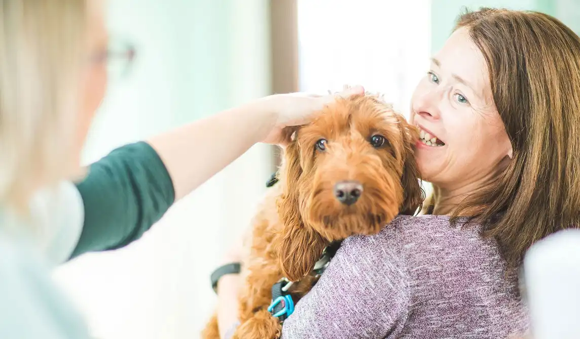 Dog being carried by owner being petted by vet nurse
