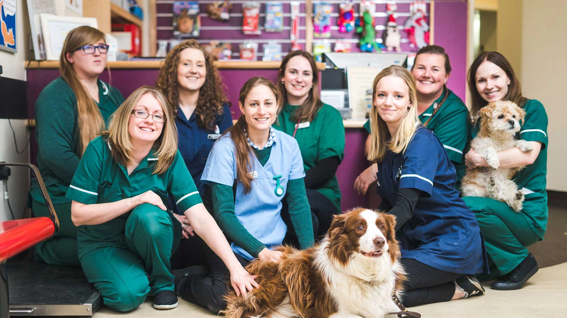 group shot of whole veterinary team