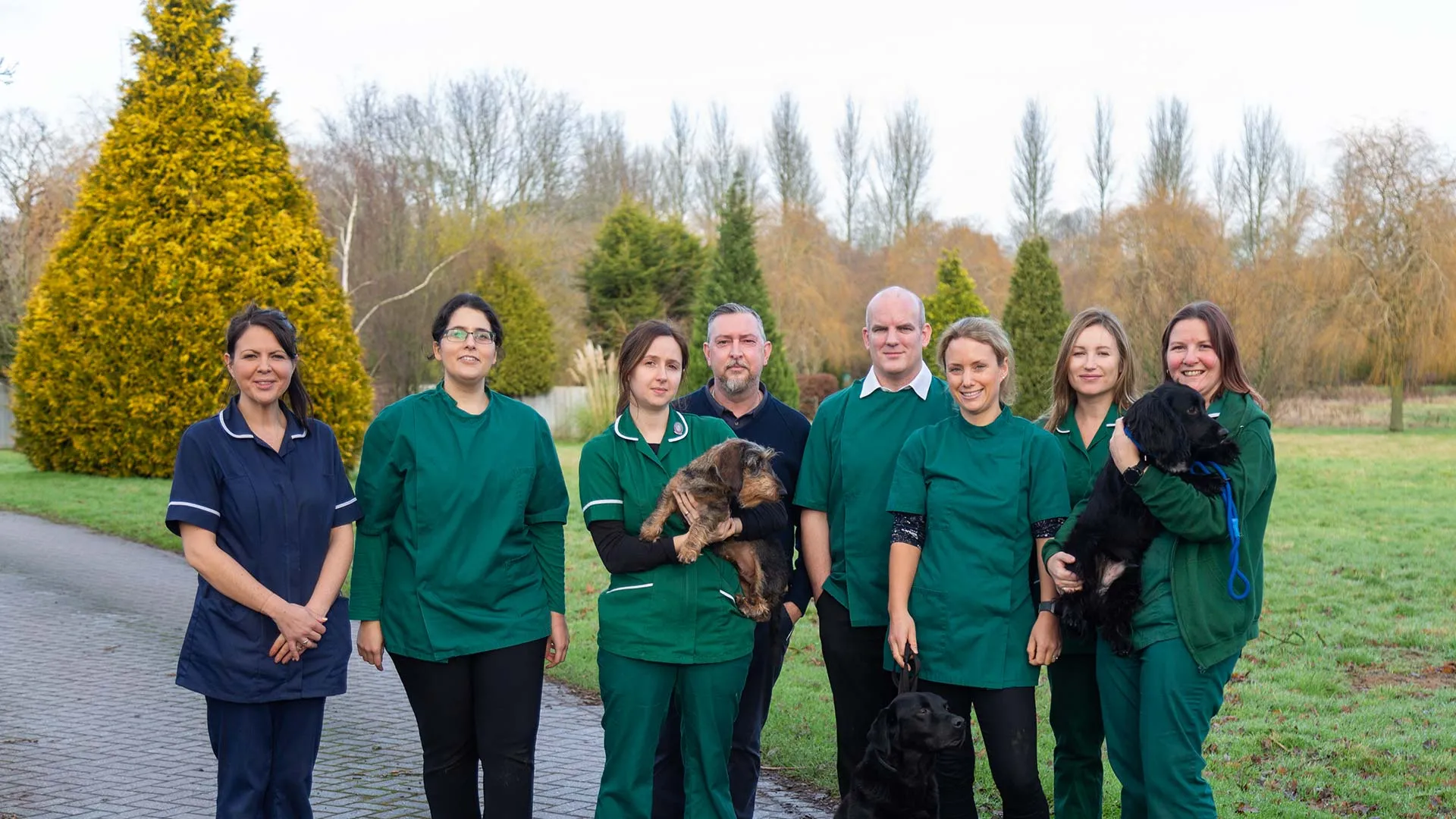 our team