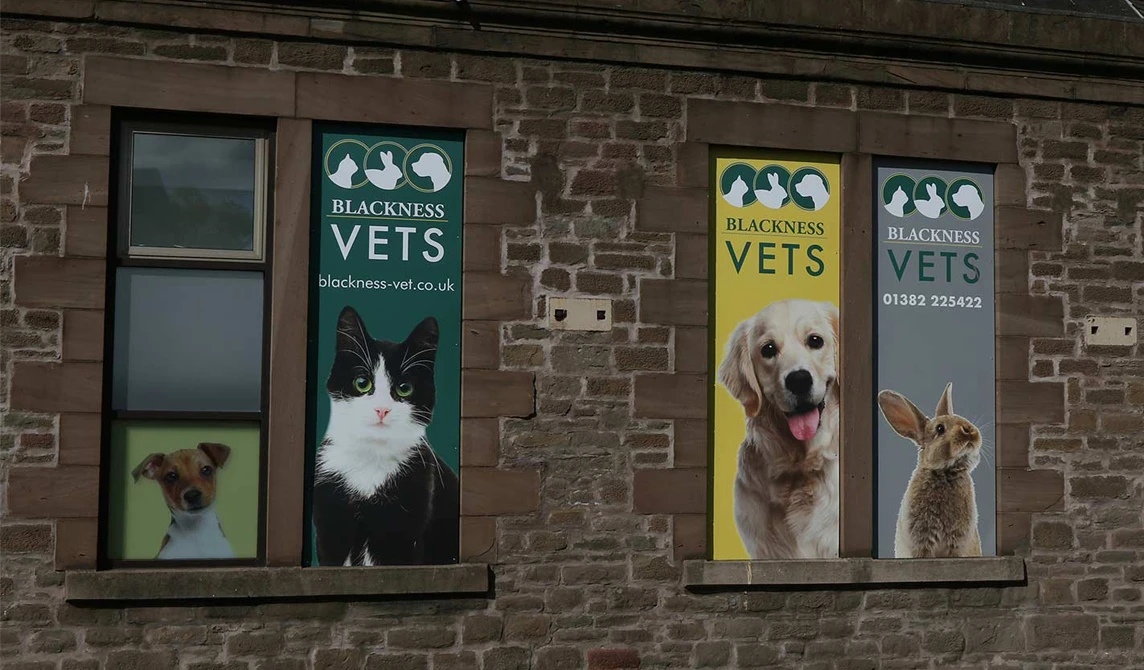 blackness vets practice exterior