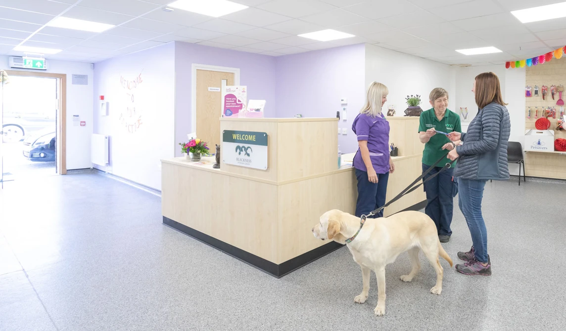 dog in vet waiting room with owner and vet staff