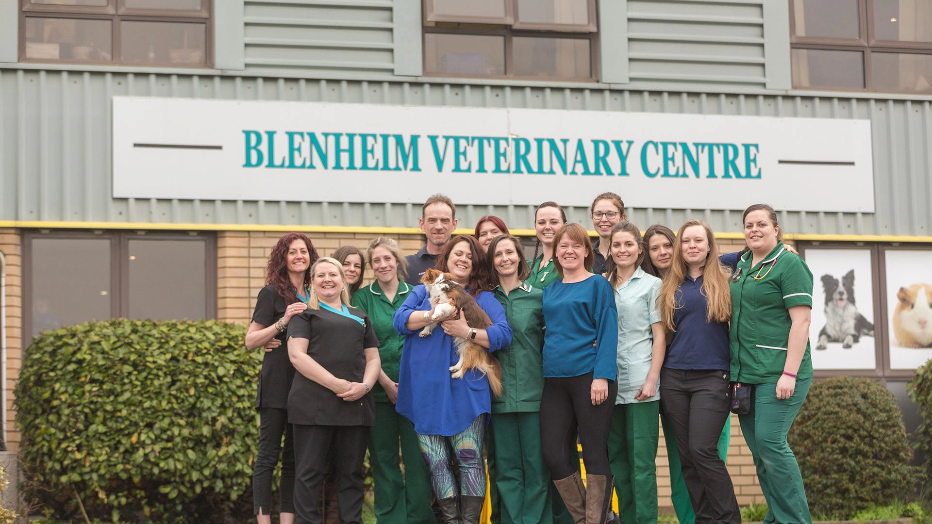 the veterinary team outside the building in a line up