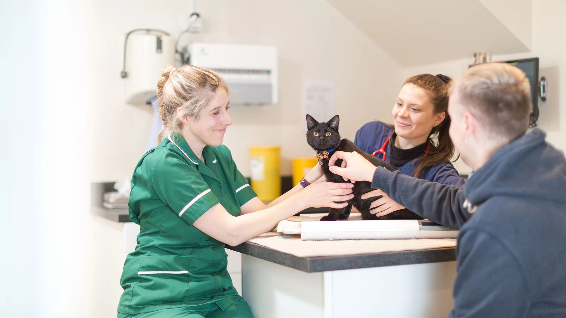 vet and nurse stroking a black cat