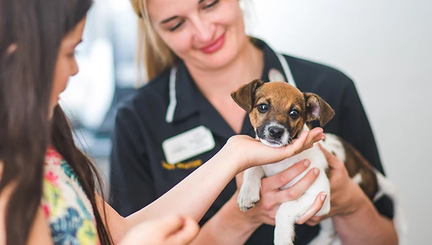 vet nurse with puppy