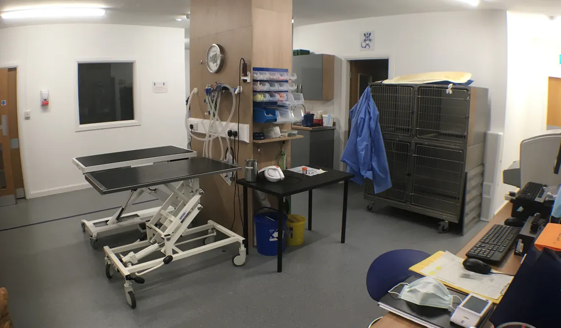 vet preparation area