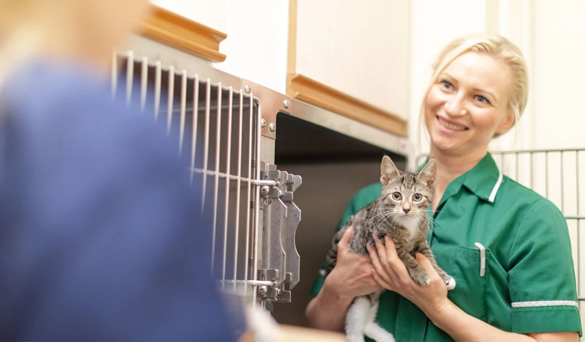hospitalised kitten with staff