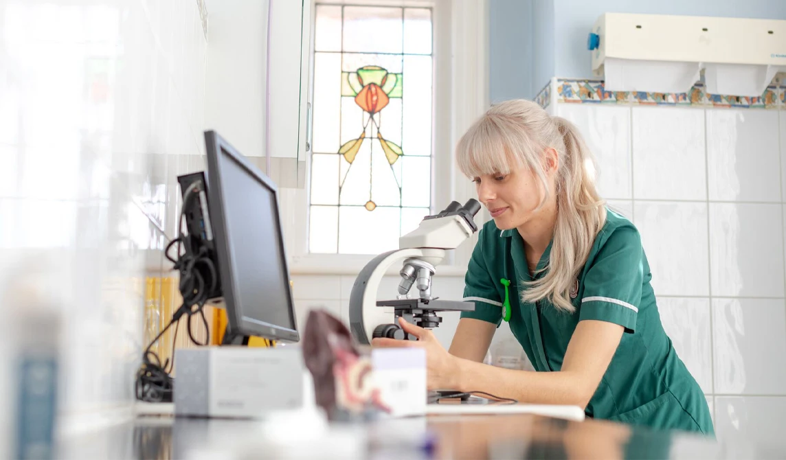 vet using microscope