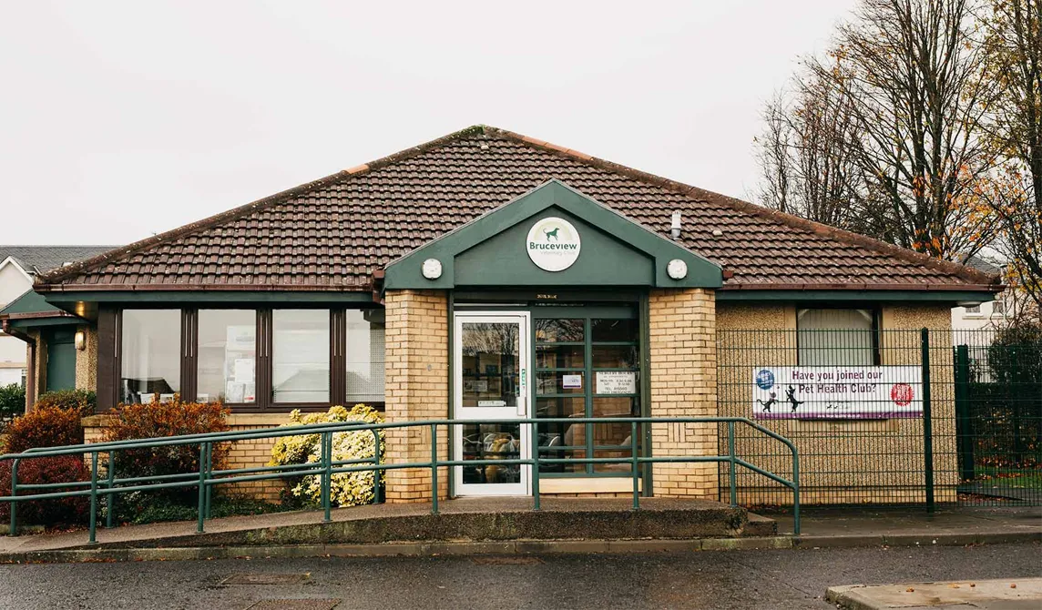 Bruceview Vets building