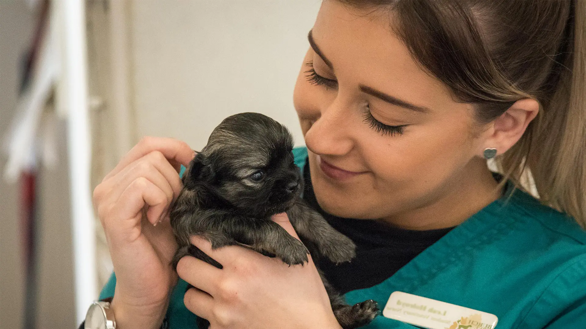 vet nurse holding brown puppy