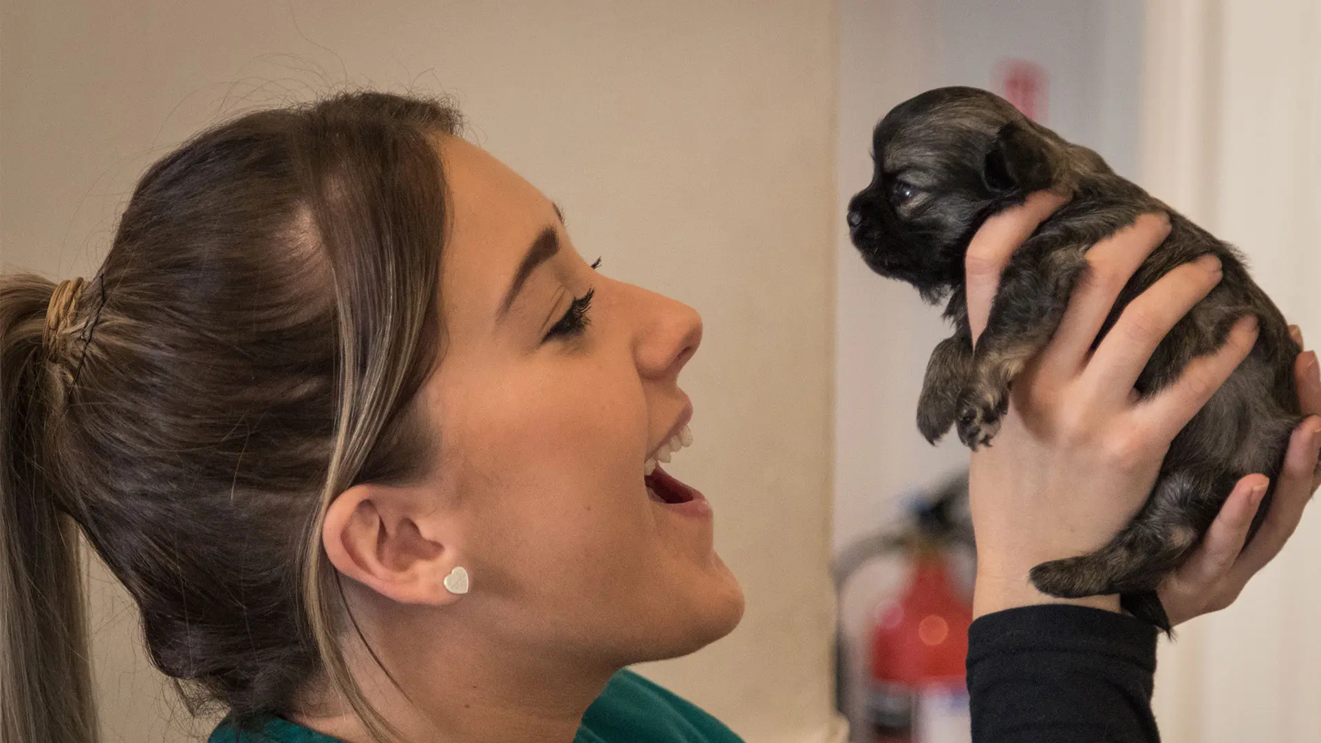 vet nurse holding up puppy
