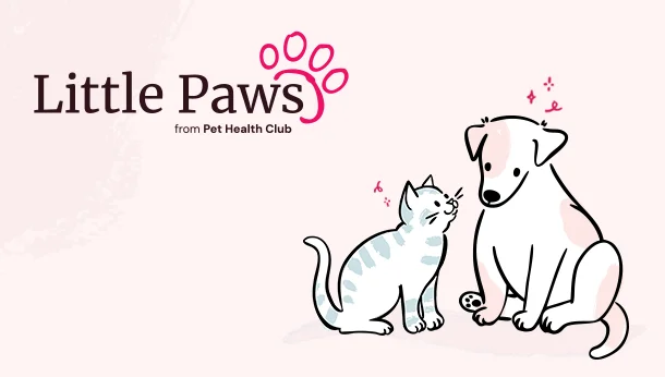 Cartoon of cat and dog with Little Paws logo