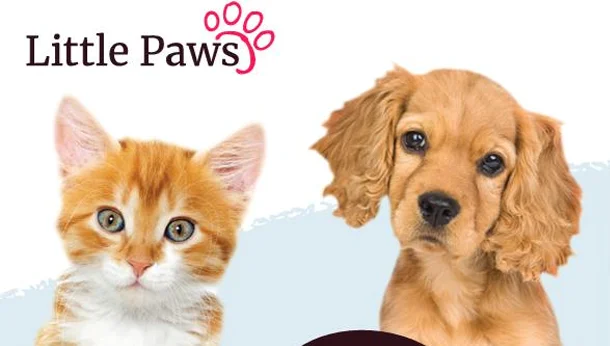 ginger kitten and golden puppy with Little Paws logo