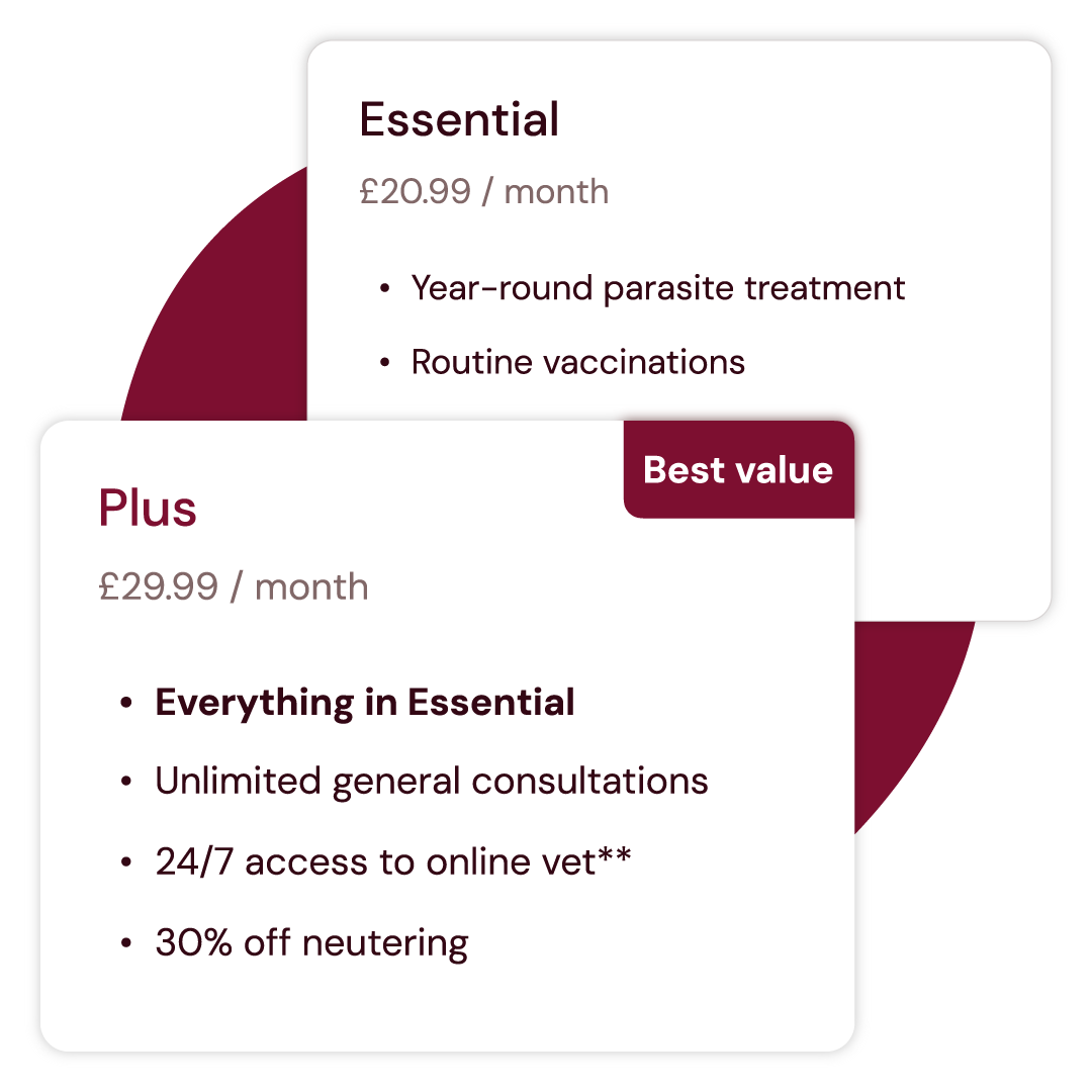 graphic showing benefits of plus plan