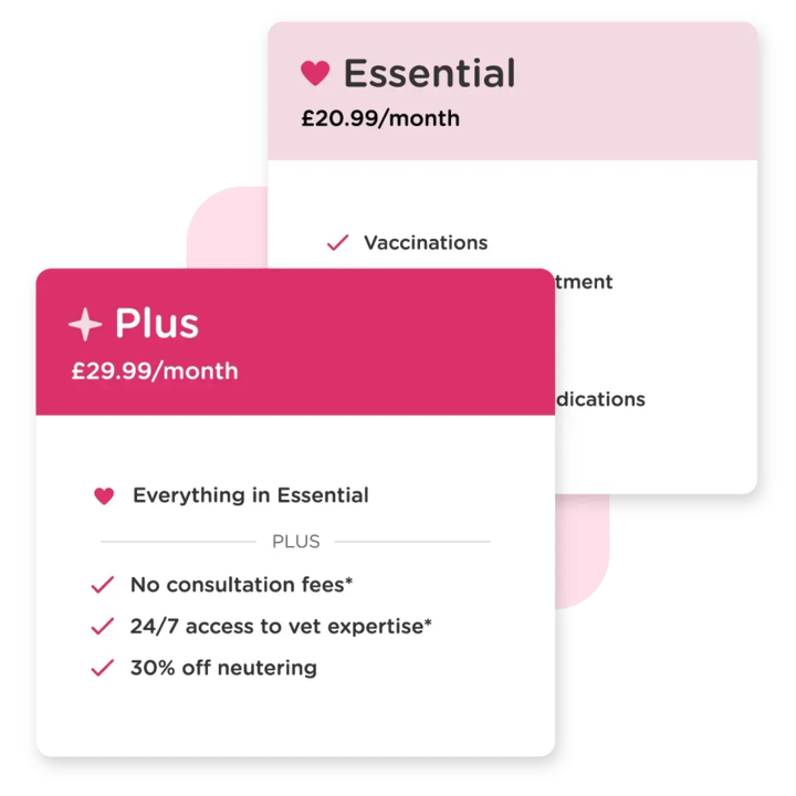 graphic showing benefits of plus plan