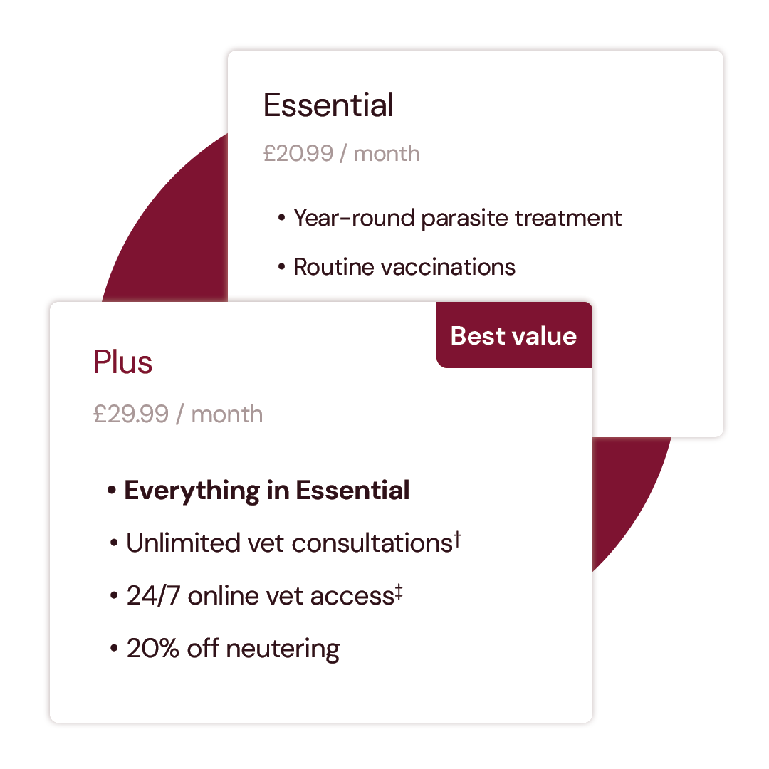 graphic showing benefits of plus plan