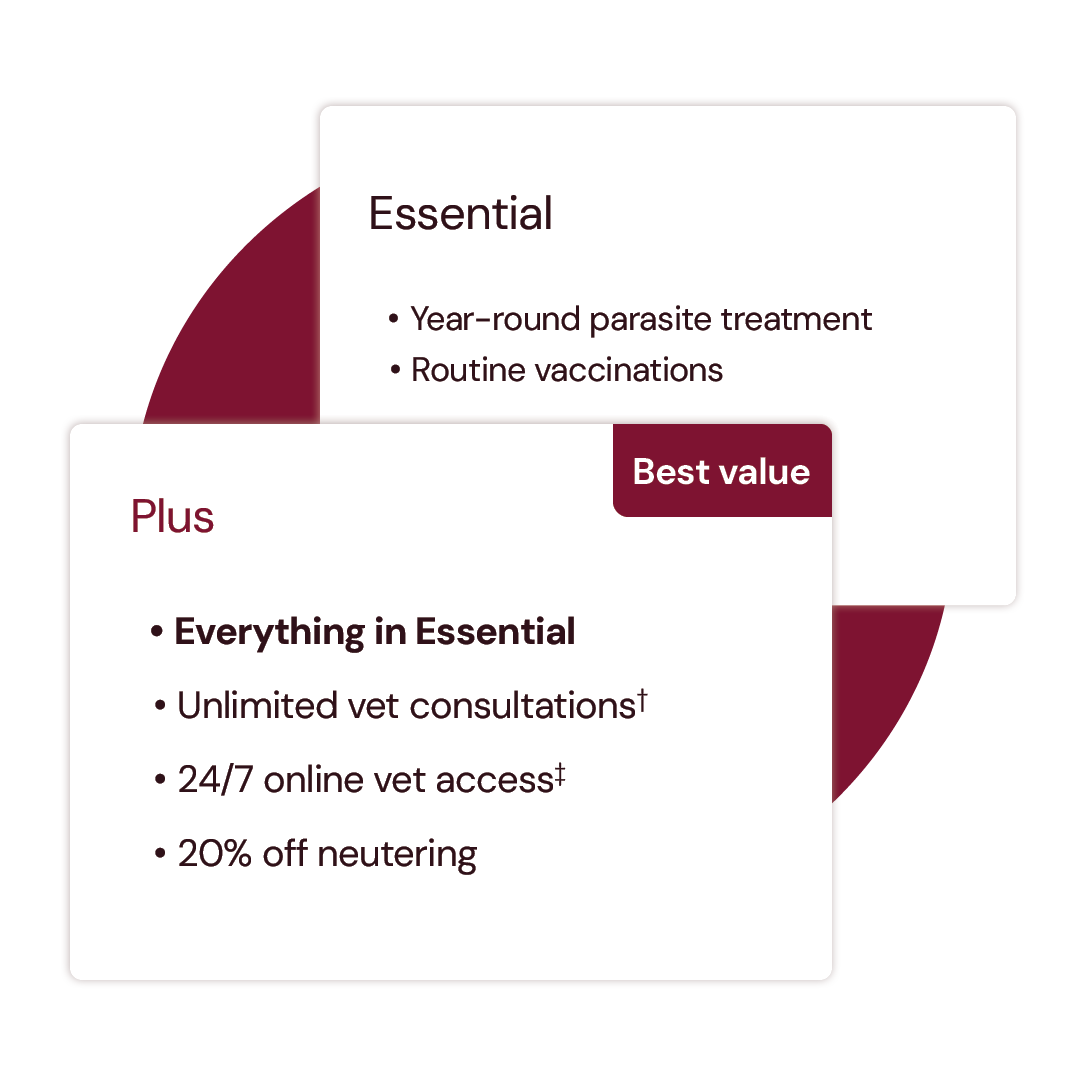 graphic showing benefits of plus plan