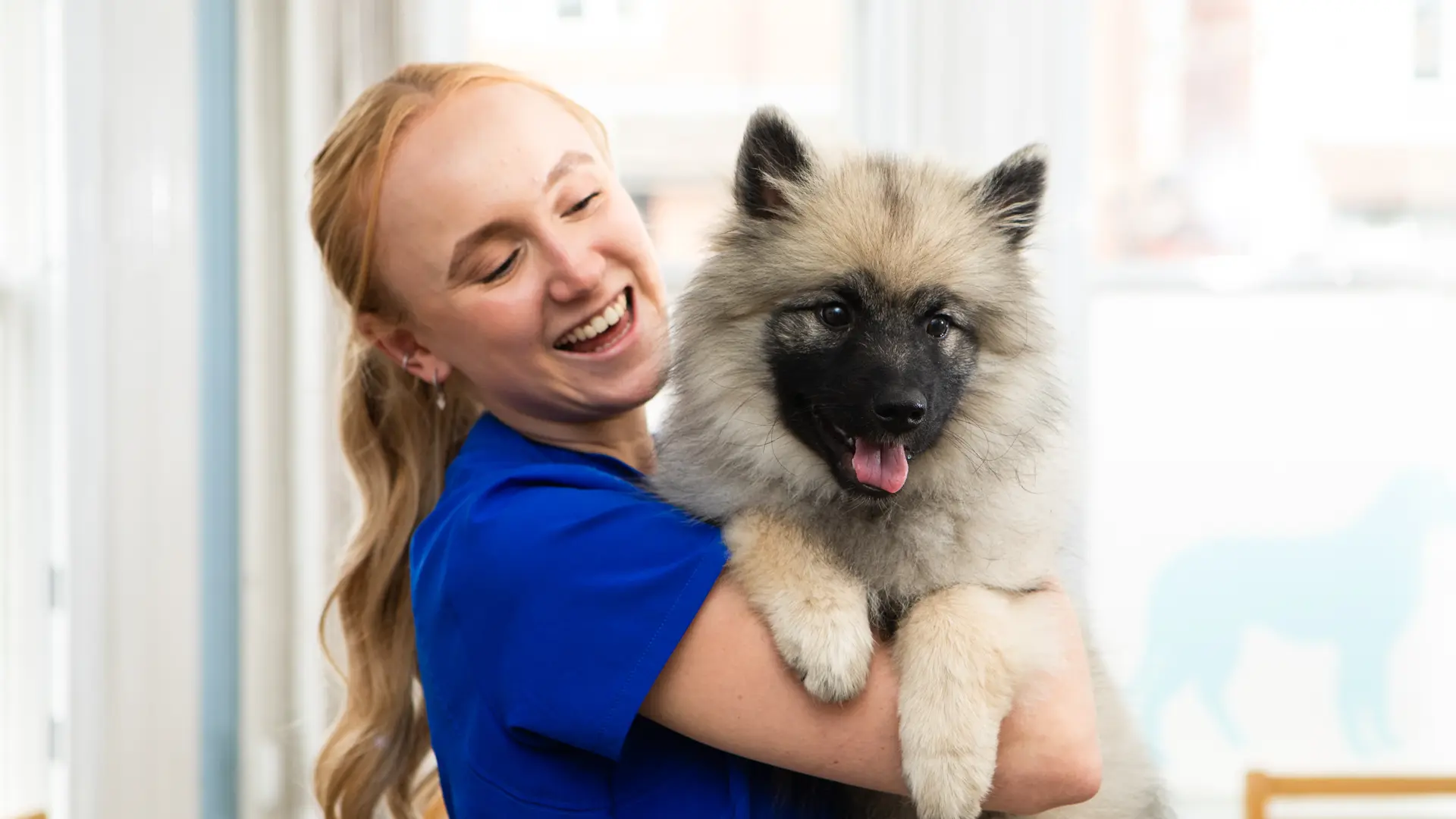fluffy dog being cuddled