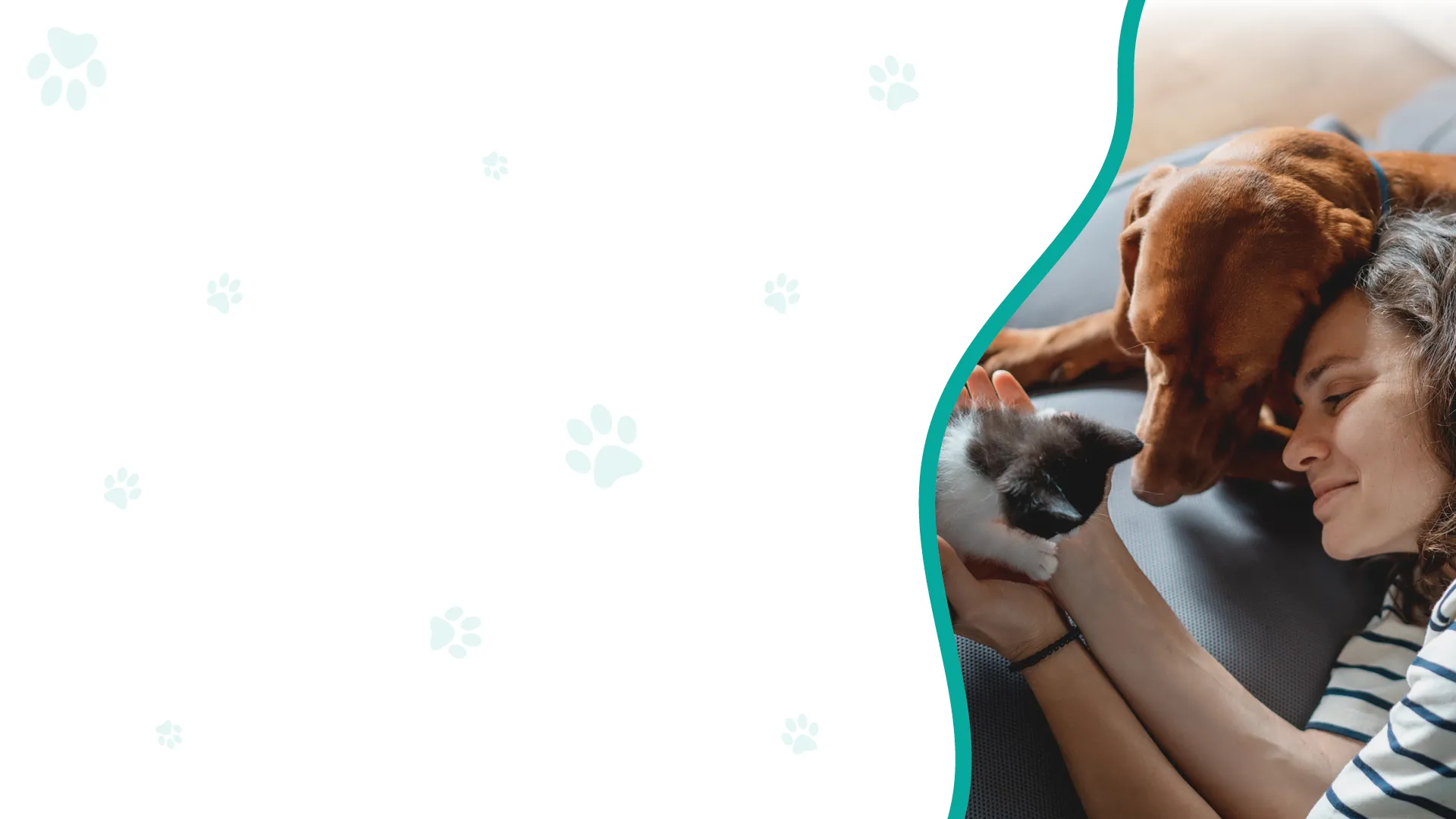 pet owner with kitten and dog