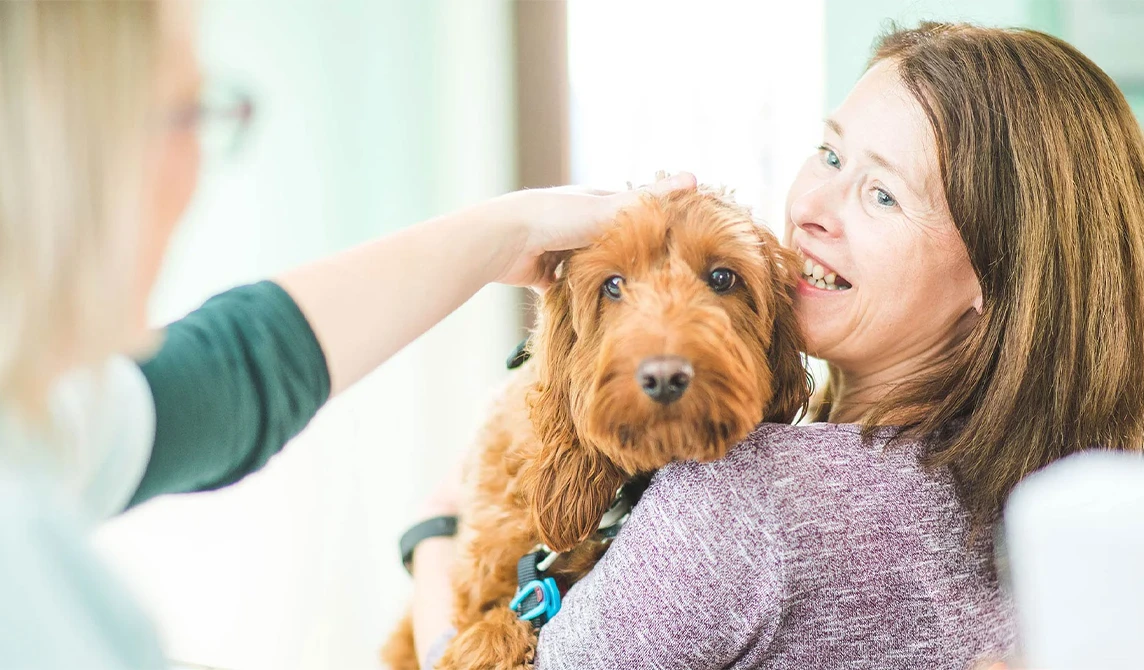 owner holding brown fluffy dog
