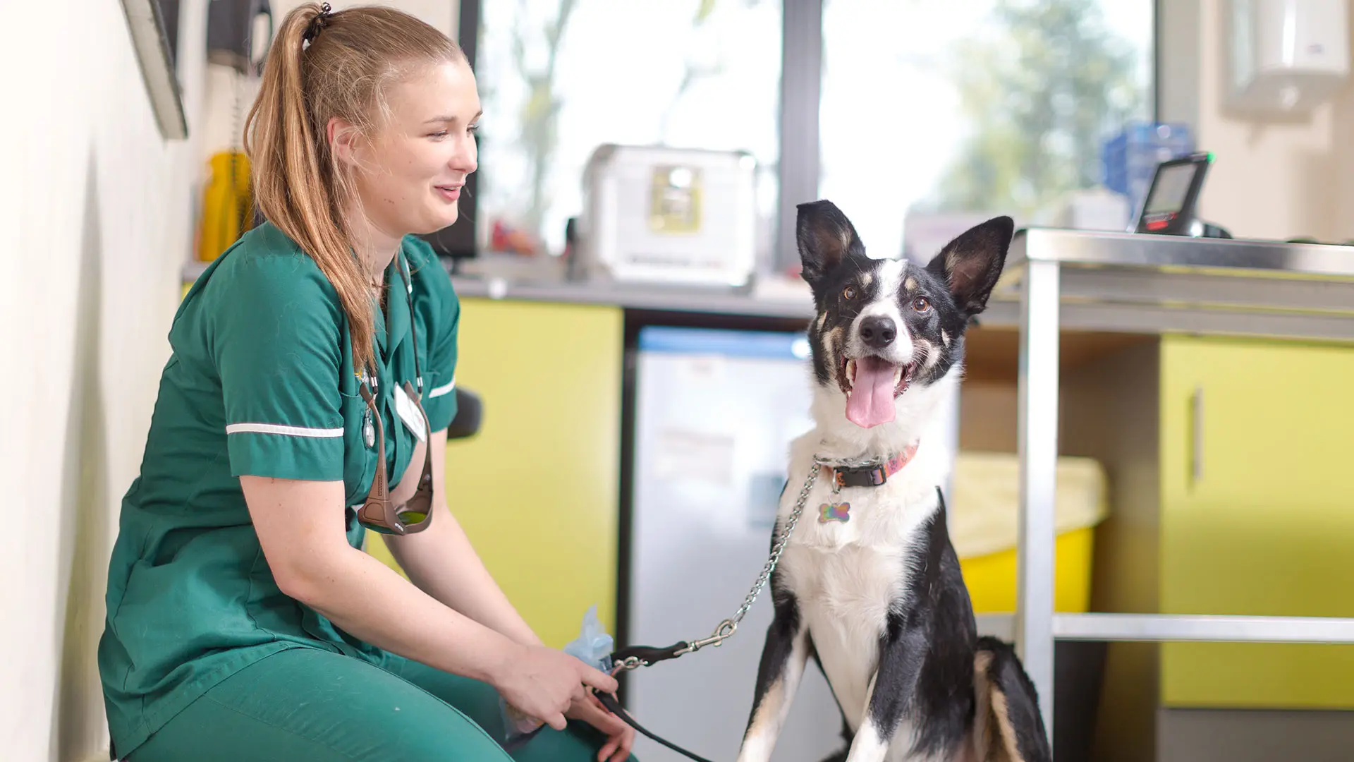 dog on lead with veterinary nurse