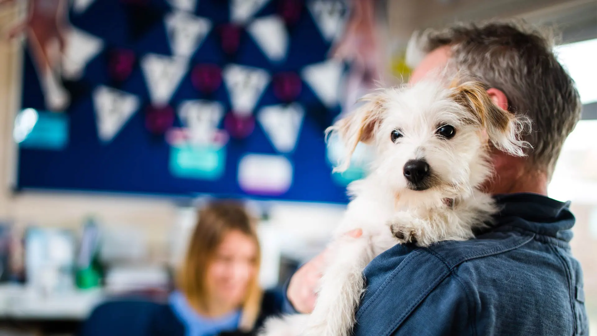 small white dog held by owner