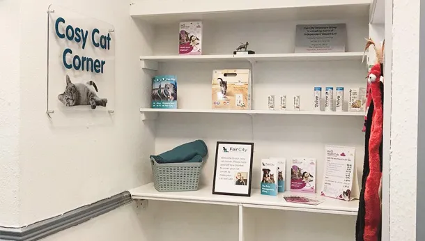 cat corner in practice