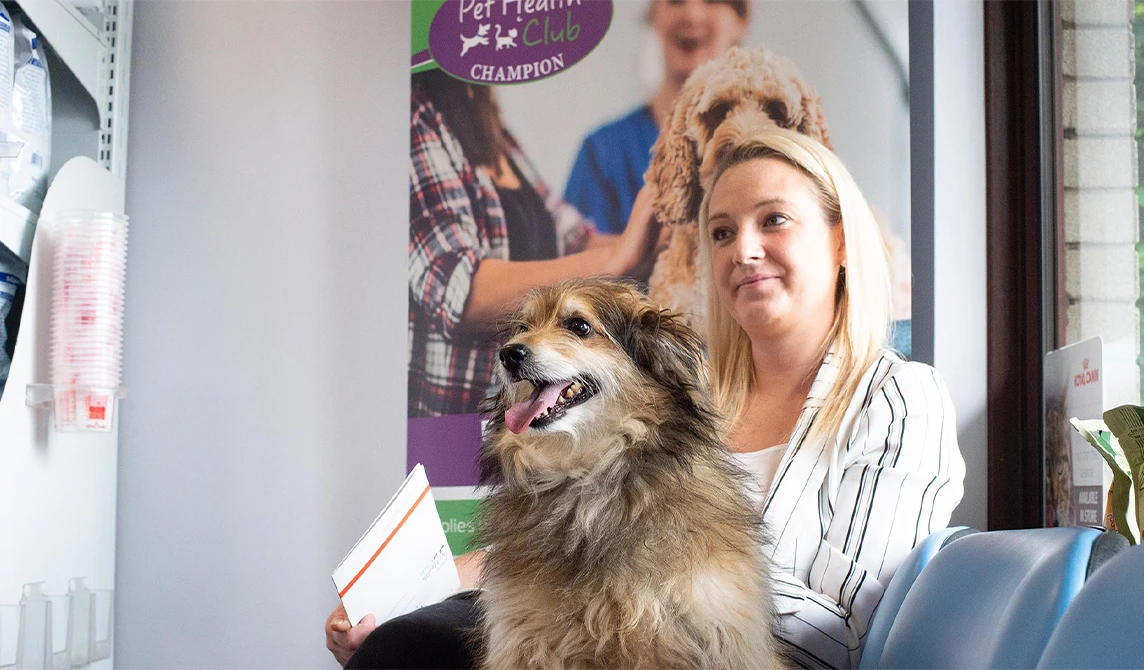 dog and owner sat in waiting room