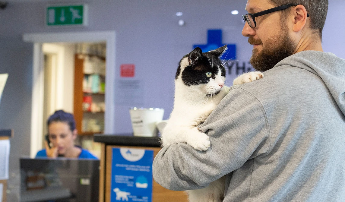 black and white cat with owner in practice