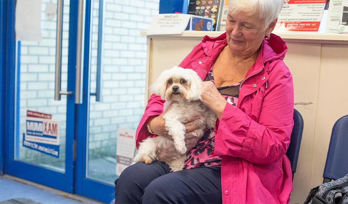 dog sat on the lap of owner