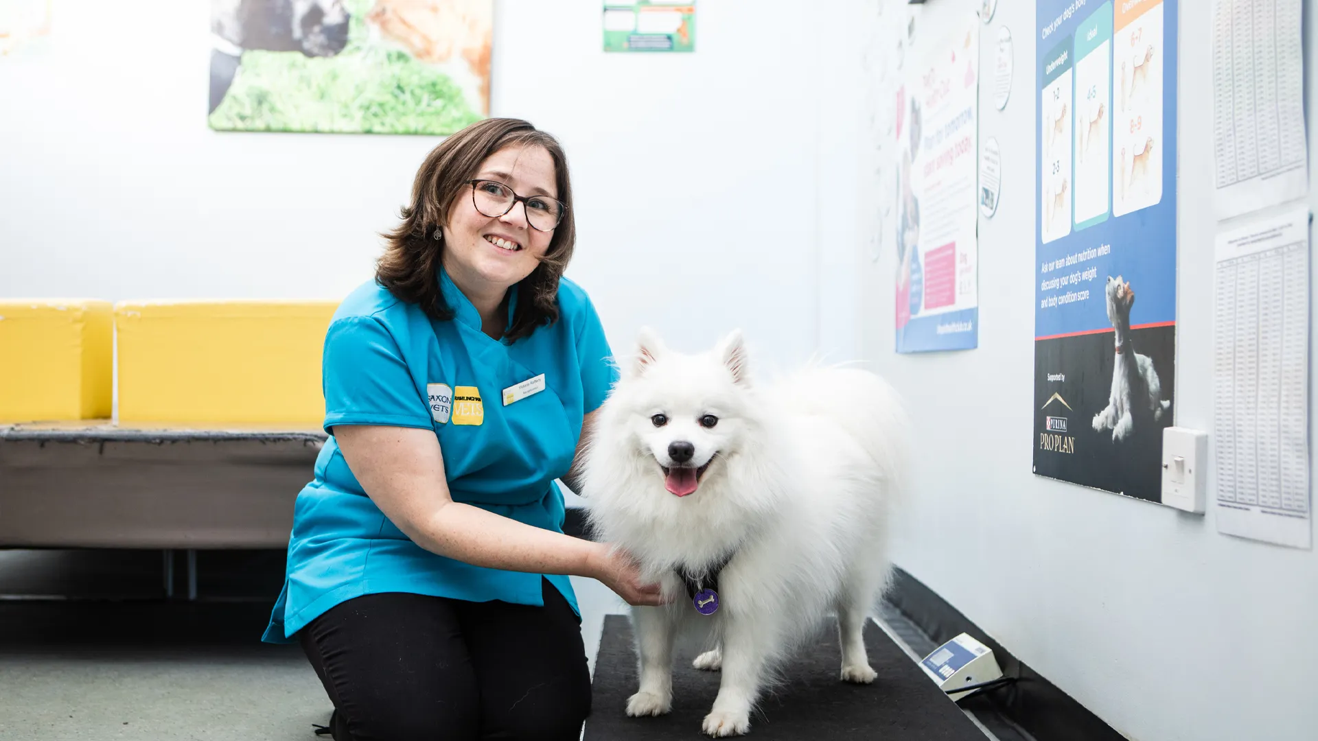 small dog in waiting room with nurse