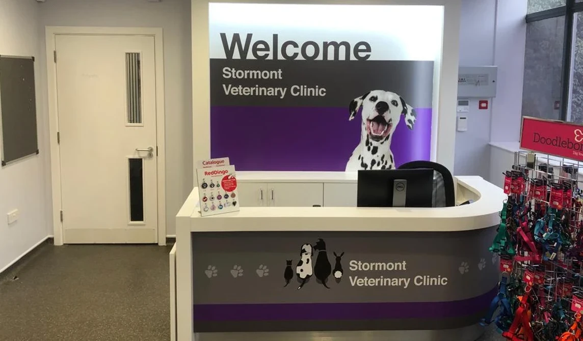 vet practice reception area