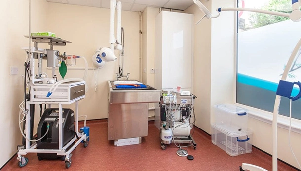 Dental clinic in practice