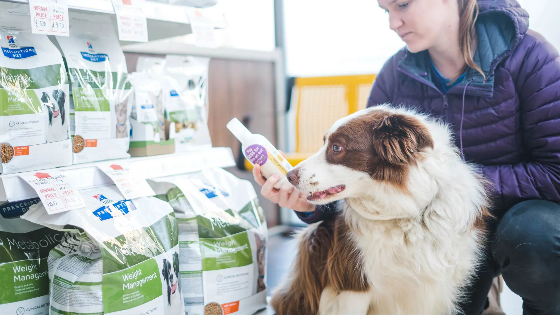 Weight management dog