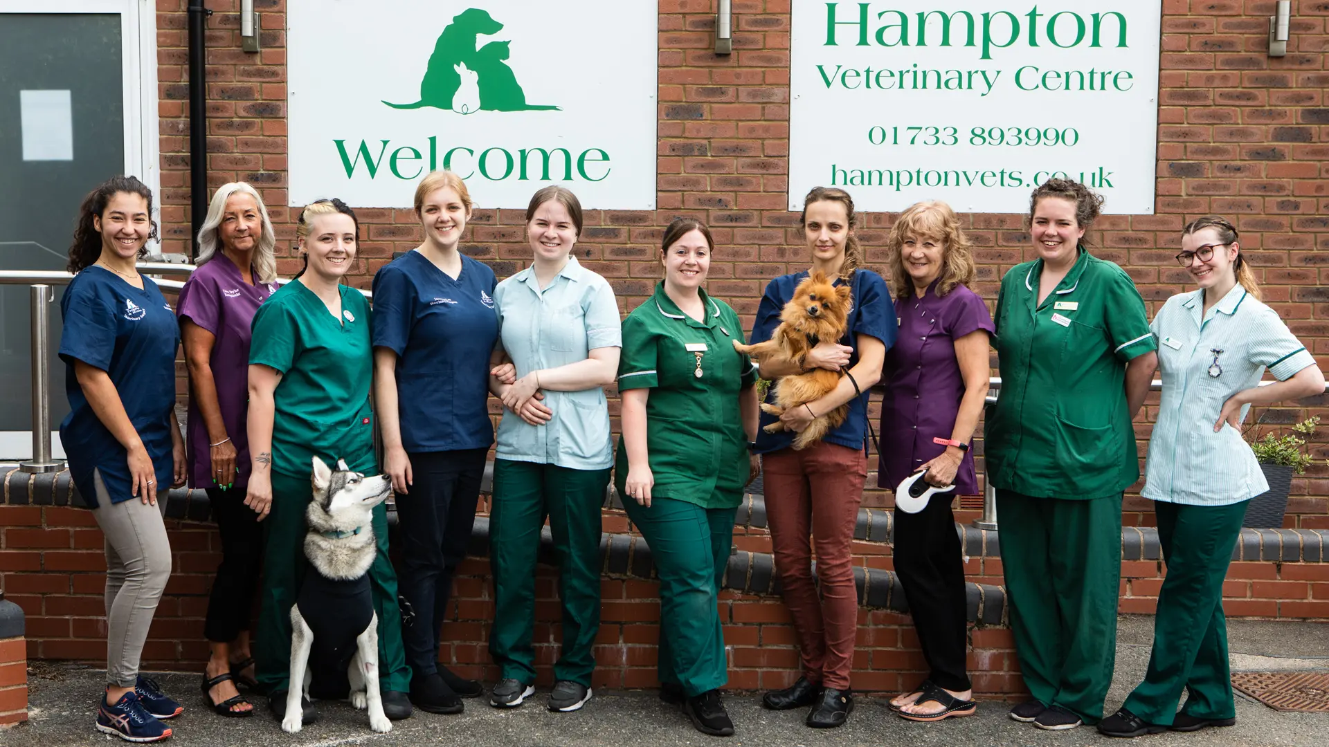 Meet the team of Hampton Vets in Peterborough 